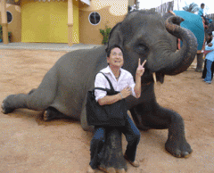 象と記念写真