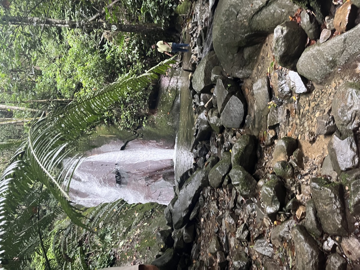 郊外プラン（自由に観光、楽々チャータープラン！）