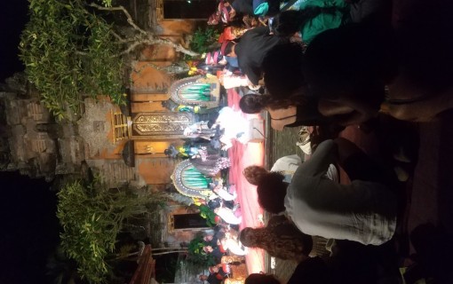 ベーシックプラン(ウブド観光＆ウブドでバリ舞踊)　