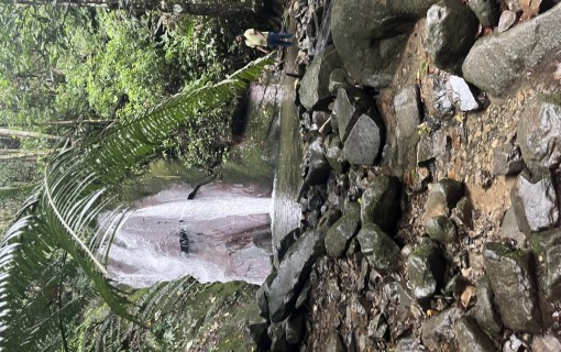 郊外プラン（自由に観光、楽々チャータープラン！）