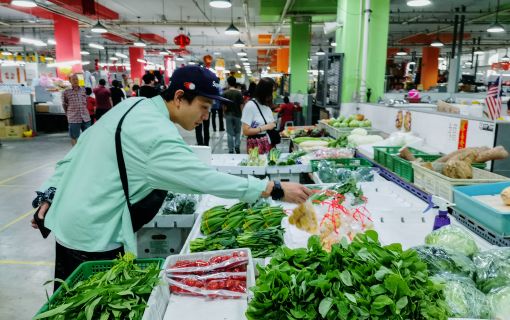 コロナ渦におすすめ専用車プラン（午前発！ 私が楽しむKL Life Style  半日ツアー！） 1