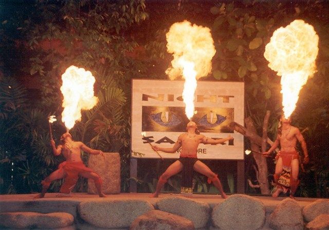 ファイヤーショー