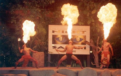 ファイヤーショー