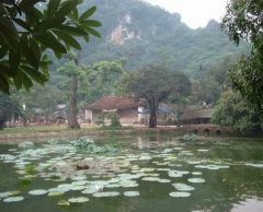 【ハノイ発】ノスタルジックな村歩き 〜ドゥンラムと静寂のタイ寺〜 5