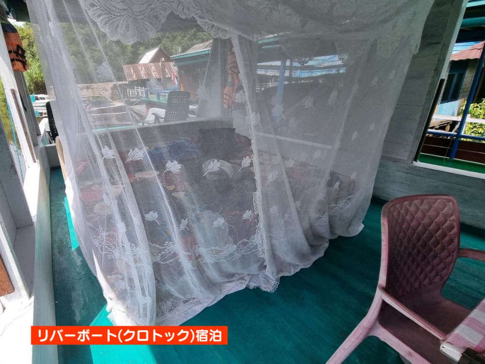 【ジャカルタ発】リバークルーズでオランウータンに会いに行こう＜タンジュンプティン国立公園＞  12