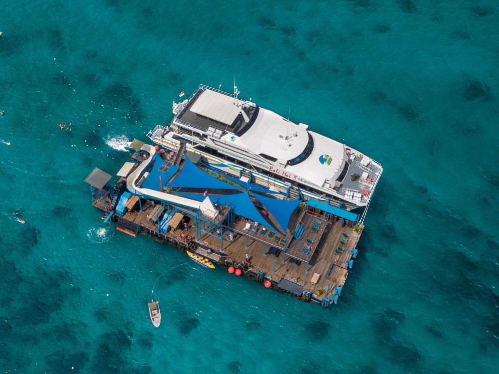 バリハイ　リーフクルーズ 1