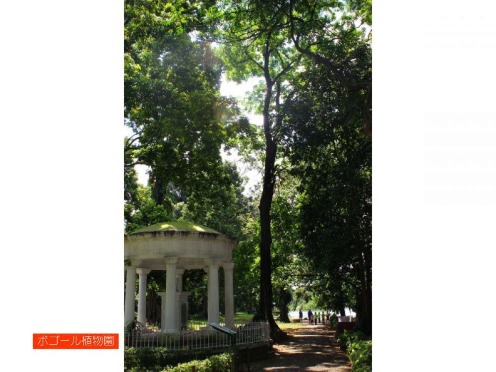 ジャカルタ市内&ボゴール観光 10