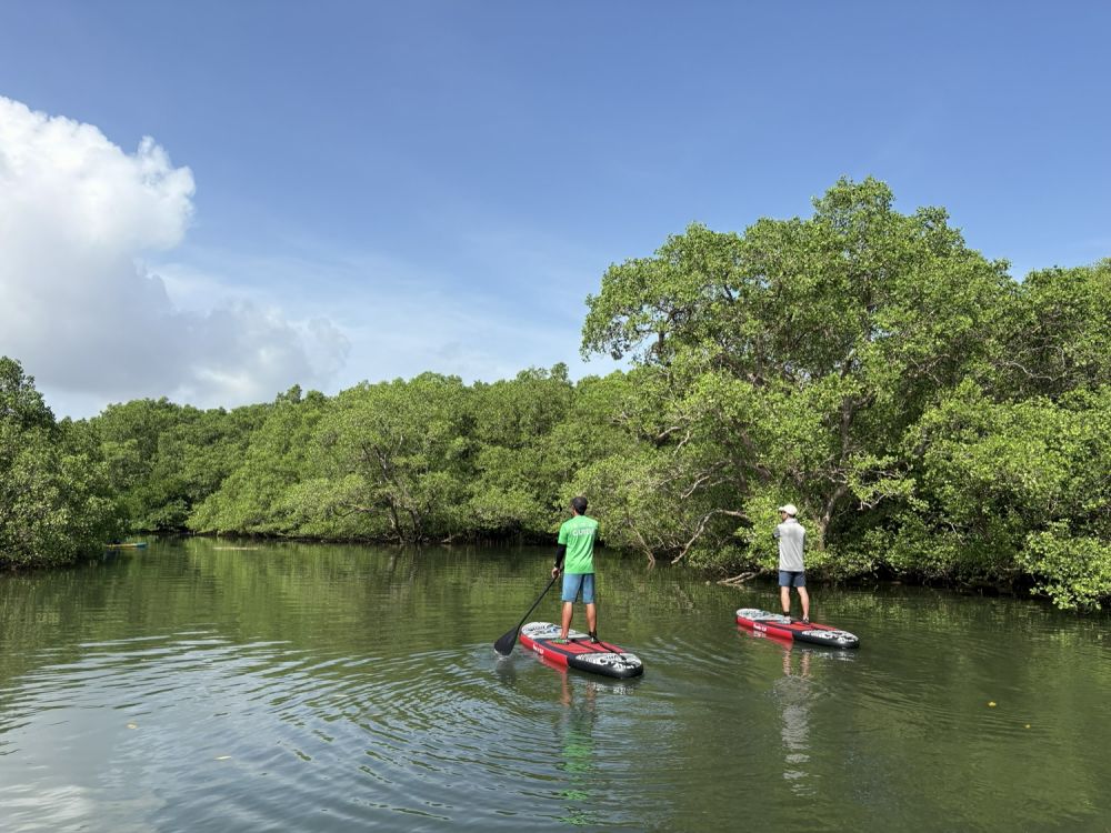 バリ島のマングローブで気軽に半日SUPツアー 10