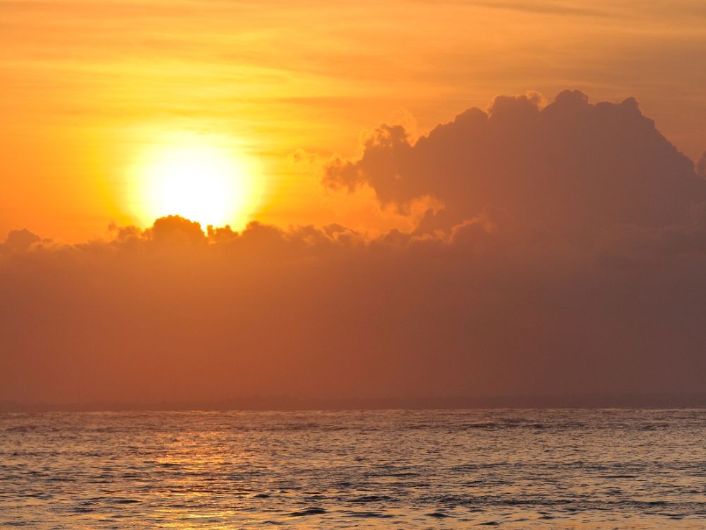 バリハイ　アリストキャット イブニングクルーズ 6