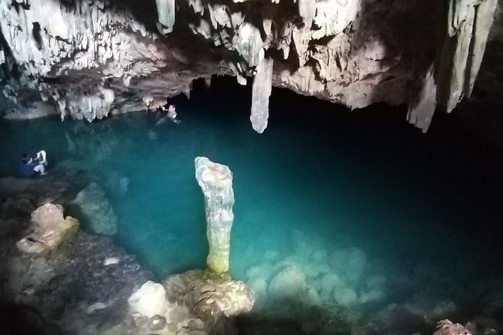 【ジャカルタ発】世界自然遺産!コモド島・コモドドラゴン&ピンクビーチ 2泊3日 2