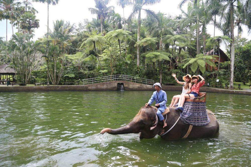 ラフティング&エレファントサファリ 8