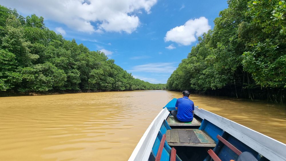 【バリクパパン発】マングローブと水上村観光ツアー 4