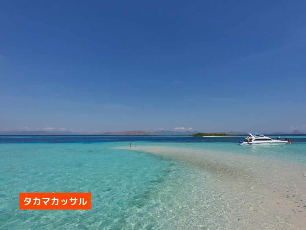 【混載ツアー】日本語ガイド付き ラブアンバジョ発日帰り コモドツアー 9