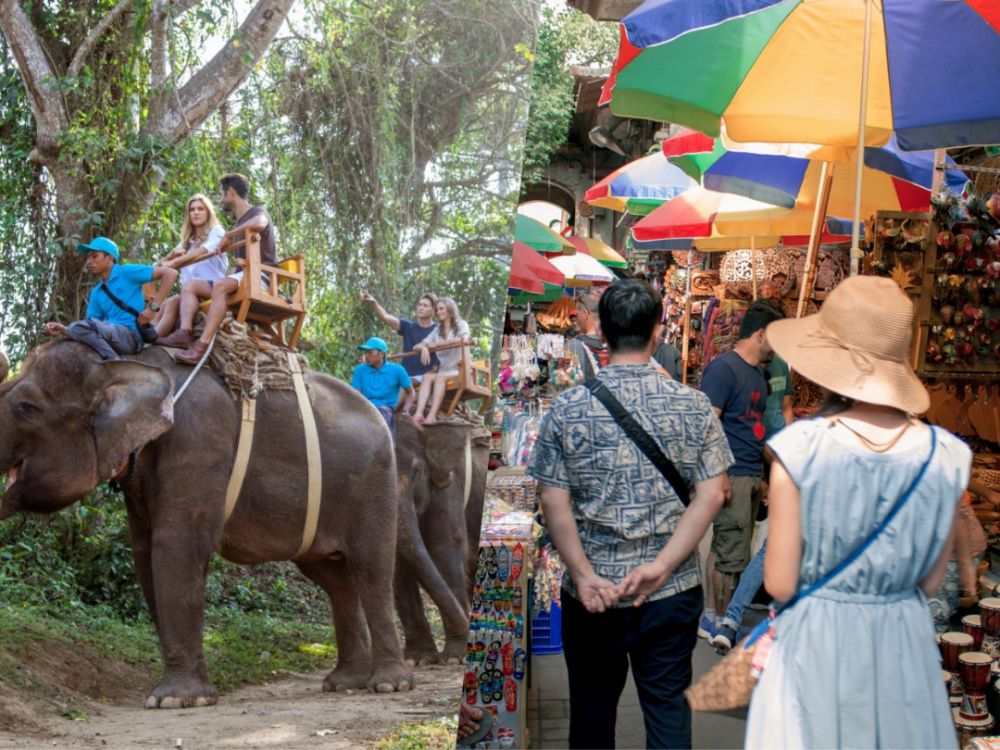 バリズー(Bali Zoo)にてエレファントライド＆ウブド自由散策 1