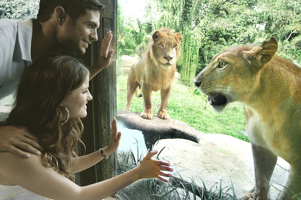 気軽に動物たちと楽しめるバリ動物園(バリズー)ツアー 3