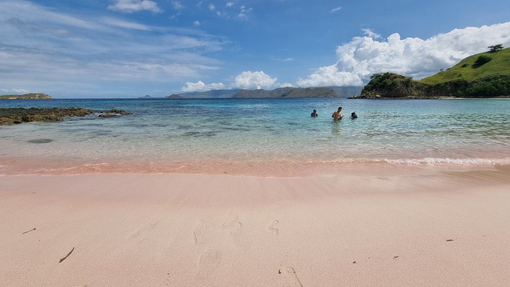 【バリ島発】日帰りコモド島ツアー 8