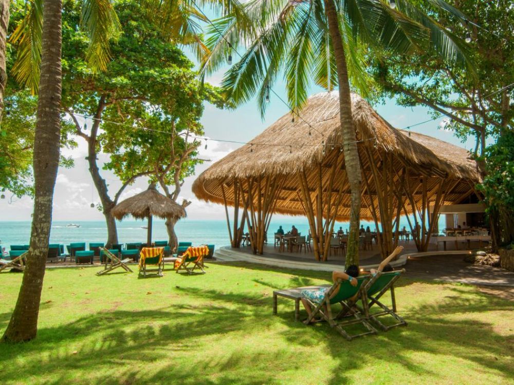 バリハイ　アリストキャット 11