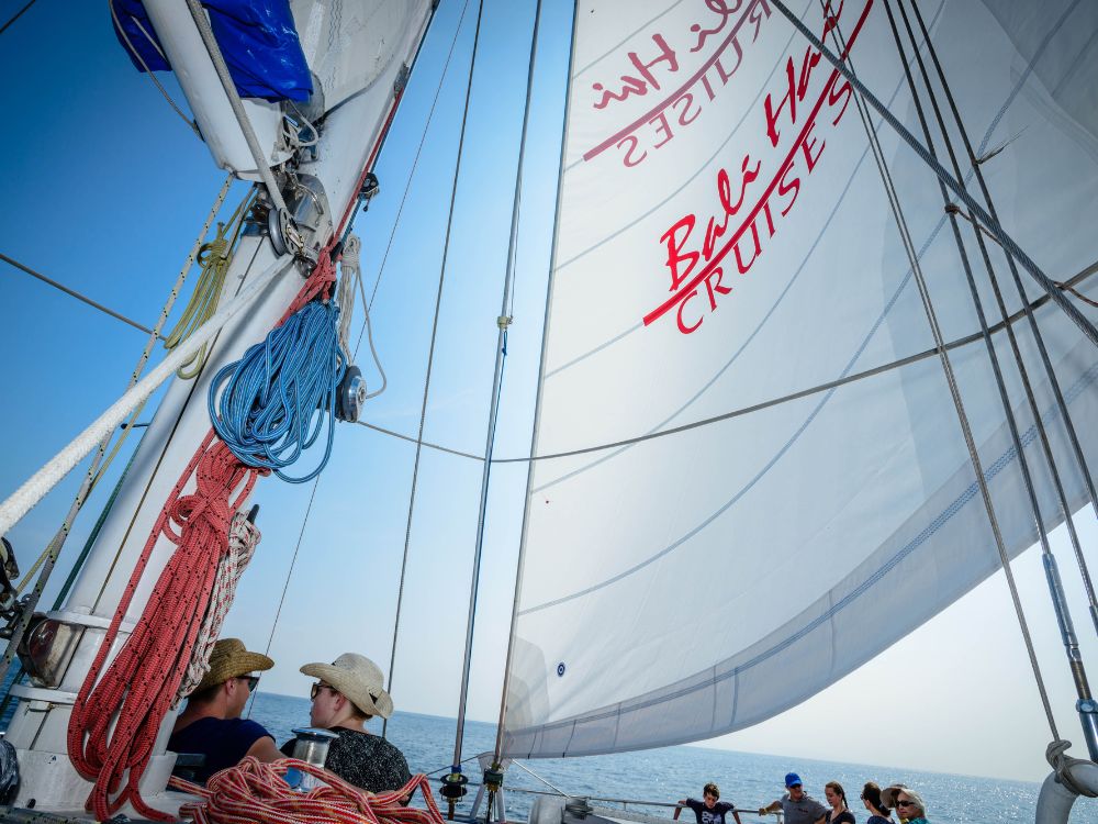 バリハイ　アリストキャット 2