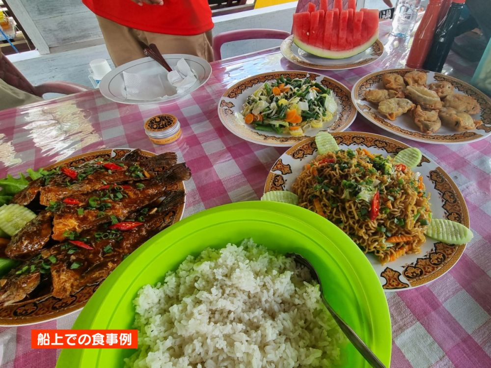 【ジャカルタ発】リバークルーズでオランウータンに会いに行こう＜タンジュンプティン国立公園＞  24