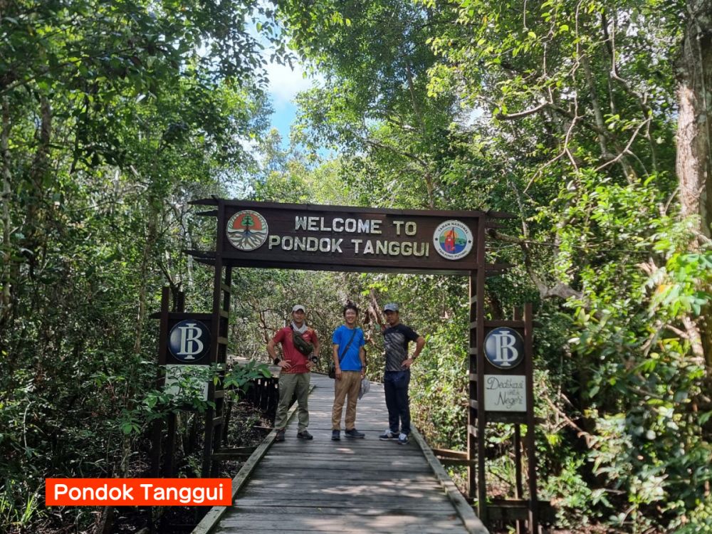 【ジャカルタ発】リバークルーズでオランウータンに会いに行こう＜タンジュンプティン国立公園＞  16