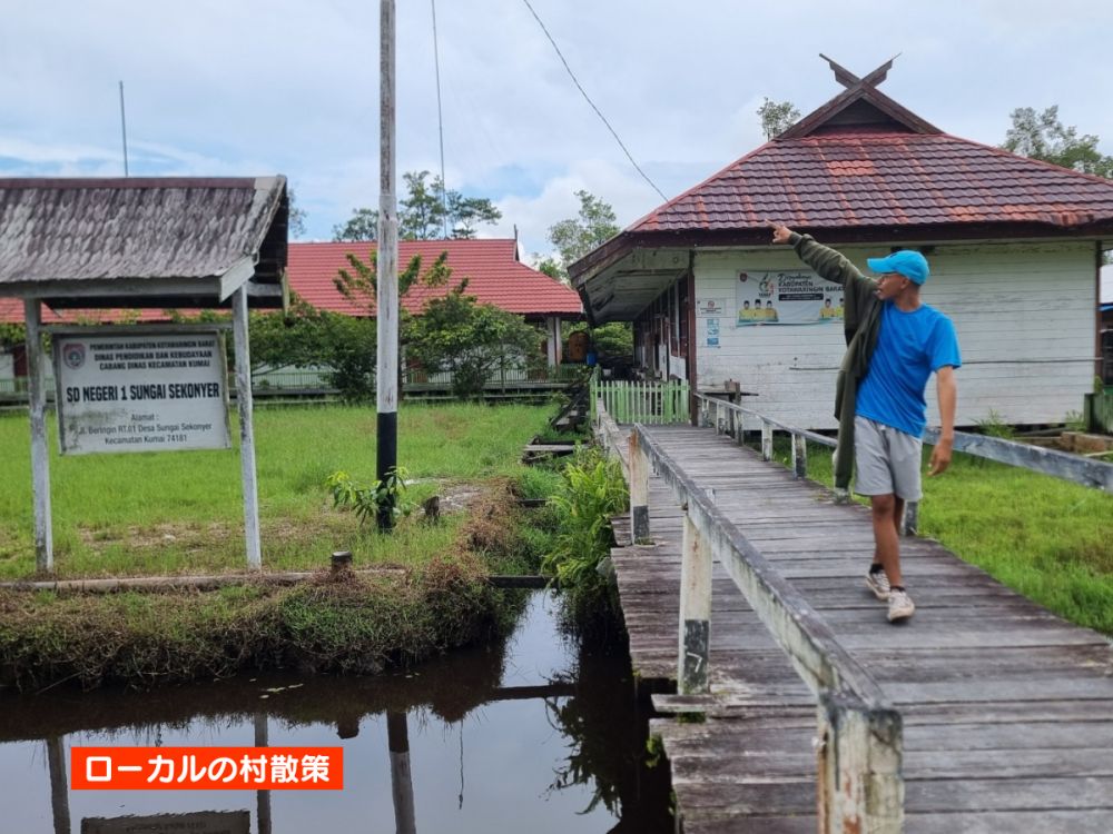 【ジャカルタ発】リバークルーズでオランウータンに会いに行こう＜タンジュンプティン国立公園＞  20