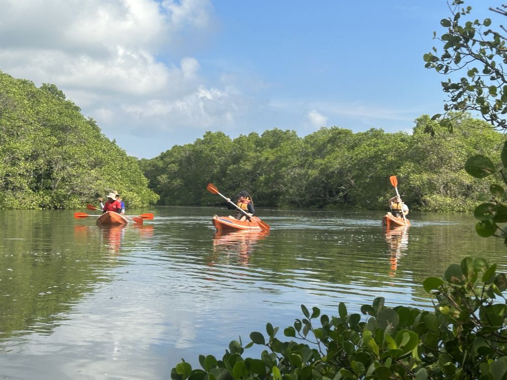 バリ島でカヤック&マングローブツアー 3