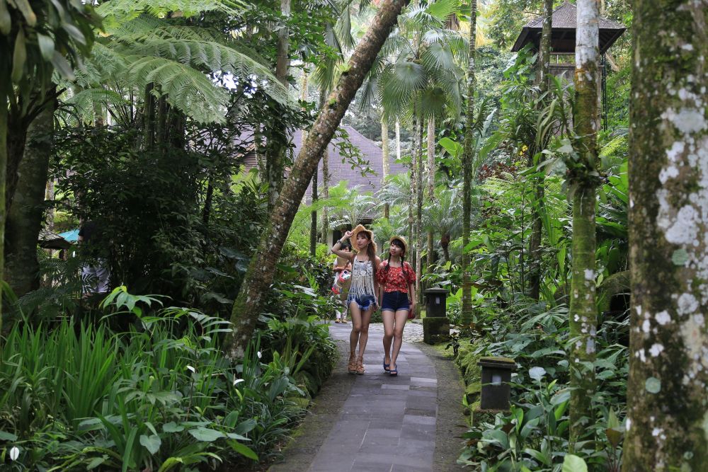 バリ島でエレファントサファリ 3