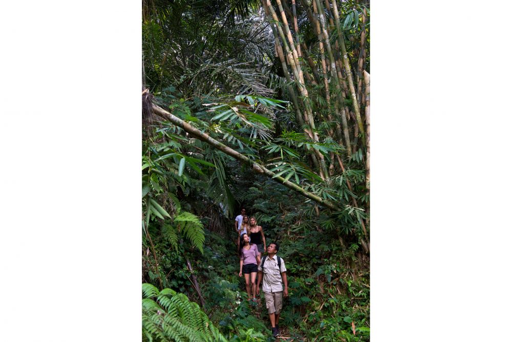 バリ島でトロピカルトレッキング! 3