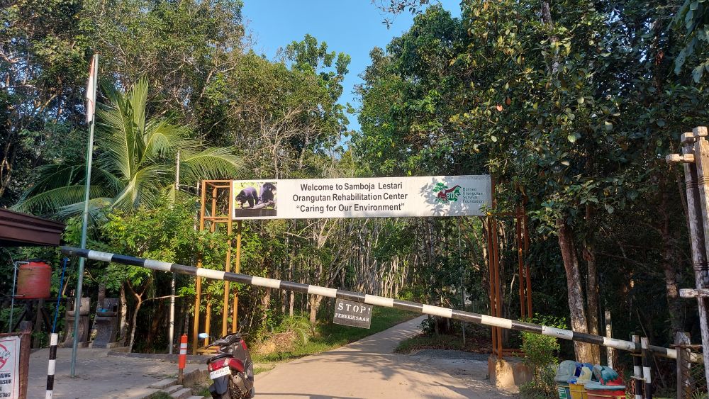 【ジャカルタ発】バリクパパン1泊2日観光ツアー｜オランウータンに会いに行こう!＜サンボジャ・レスタリ＞ 2