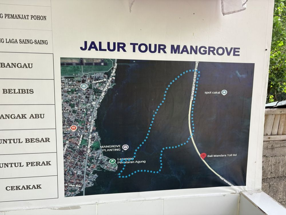 バリ島のマングローブで気軽に半日SUPツアー 12