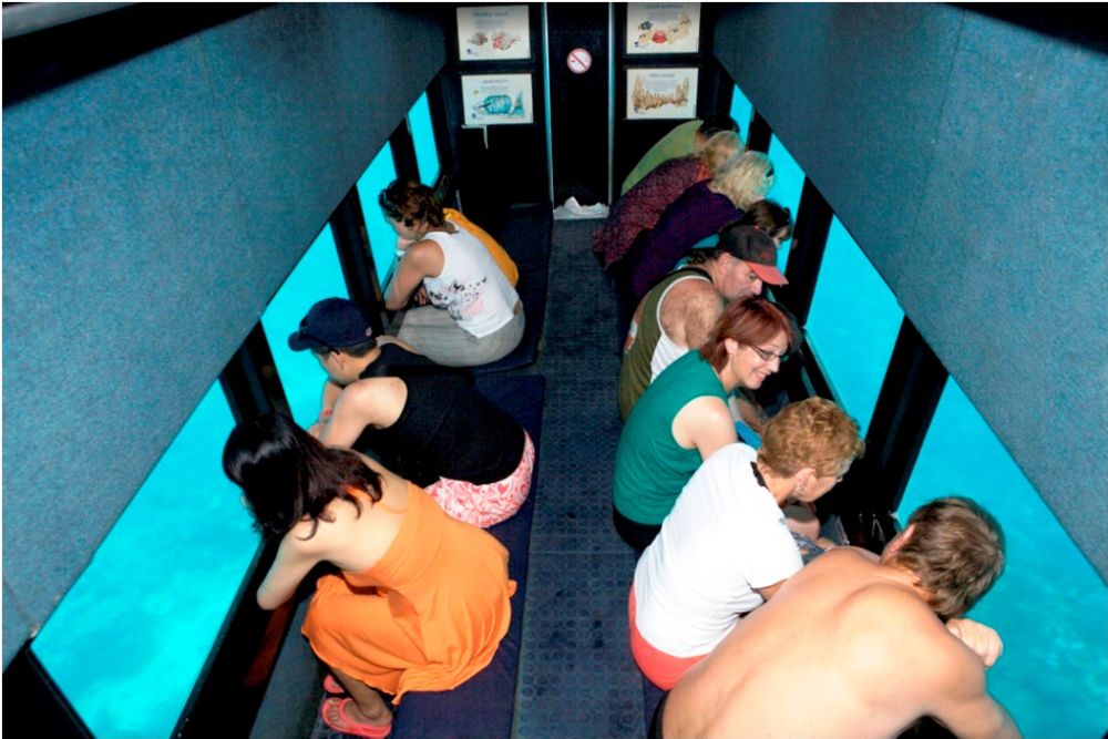 バリハイ　アリストキャット 7