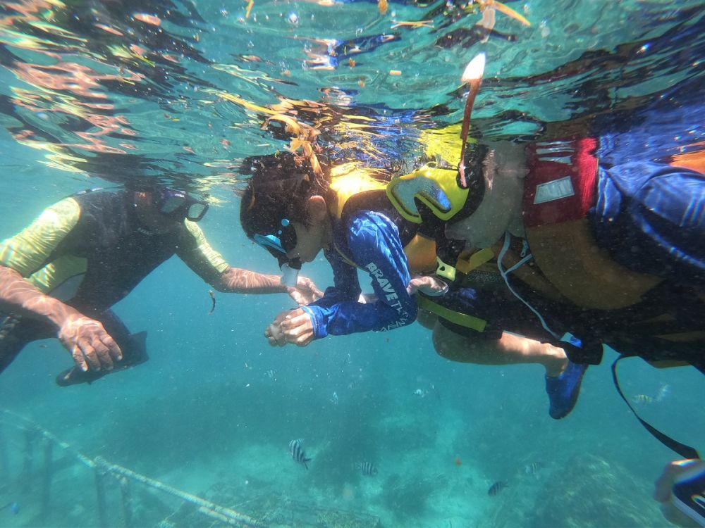 バリ島でシュノーケリング＆マングローブツアー 4