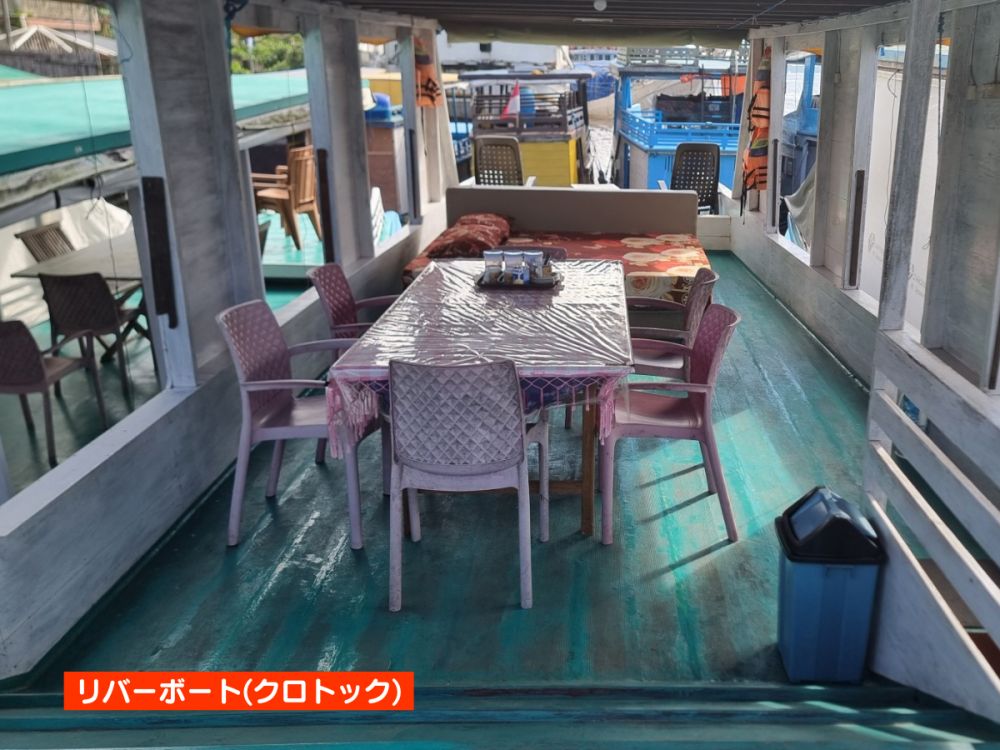 【ジャカルタ発】リバークルーズでオランウータンに会いに行こう＜タンジュンプティン国立公園＞  10