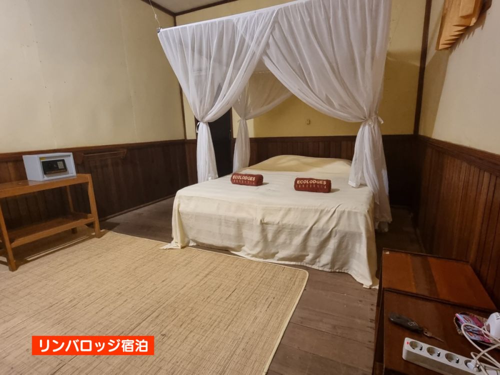 【ジャカルタ発】リバークルーズでオランウータンに会いに行こう＜タンジュンプティン国立公園＞  23