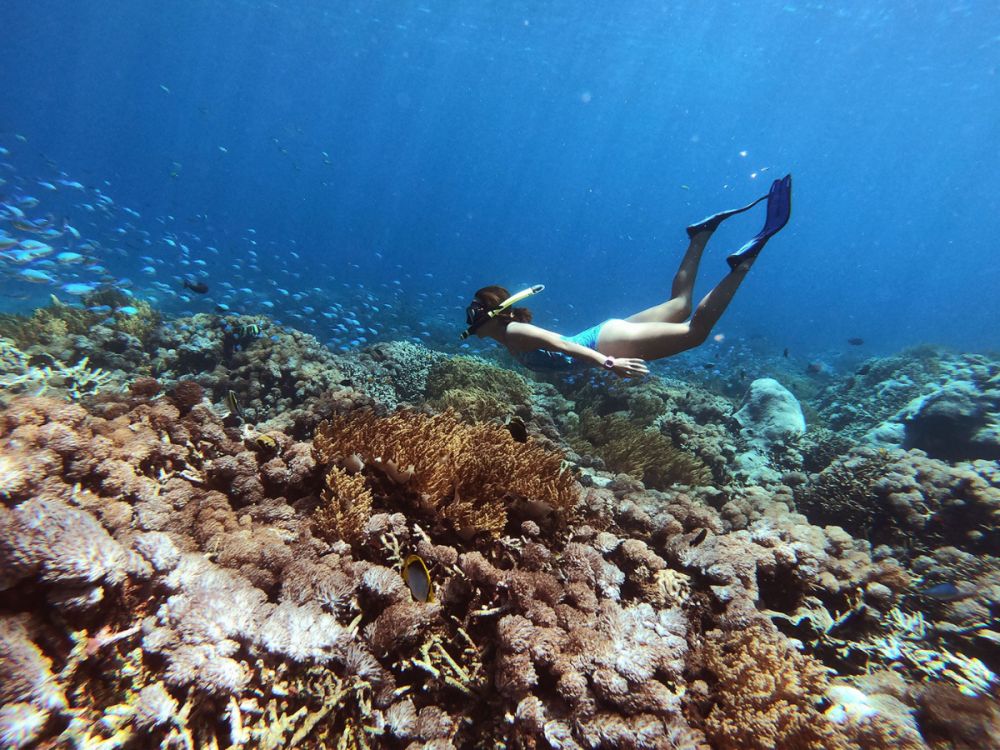 レンボンガン島DEマングローブ＆シュノーケリング 6