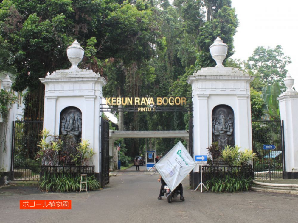 ジャカルタ市内&ボゴール観光 6