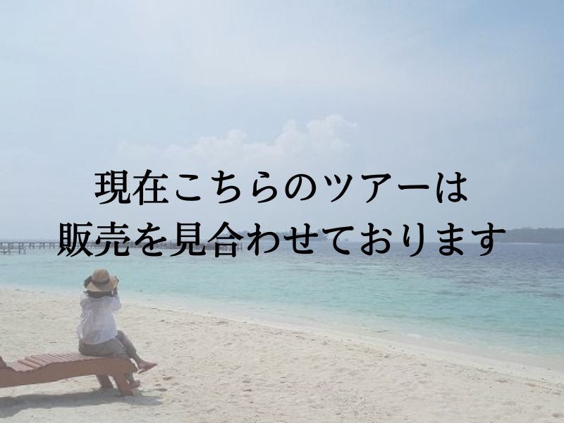 ジャカルタから1時間30分！プラウスリブにあるセパ島ツアー 1