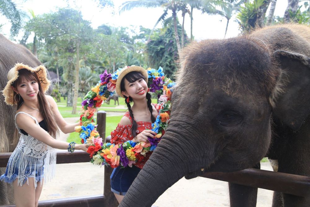 ラフティング&エレファントサファリ 6