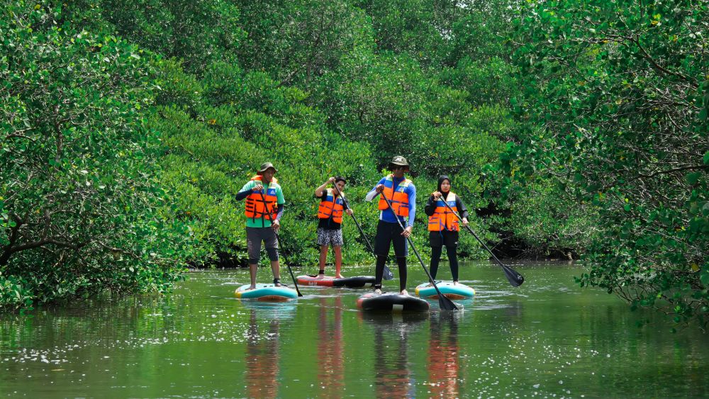 バリ島のマングローブで気軽に半日SUPツアー 1