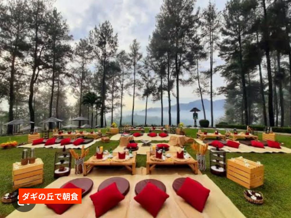 【ジョグジャカルタ発】神秘の朝焼けと歴史探訪！ボロブドゥール遺跡サンライズ＆プランバナン1日ツアー 5