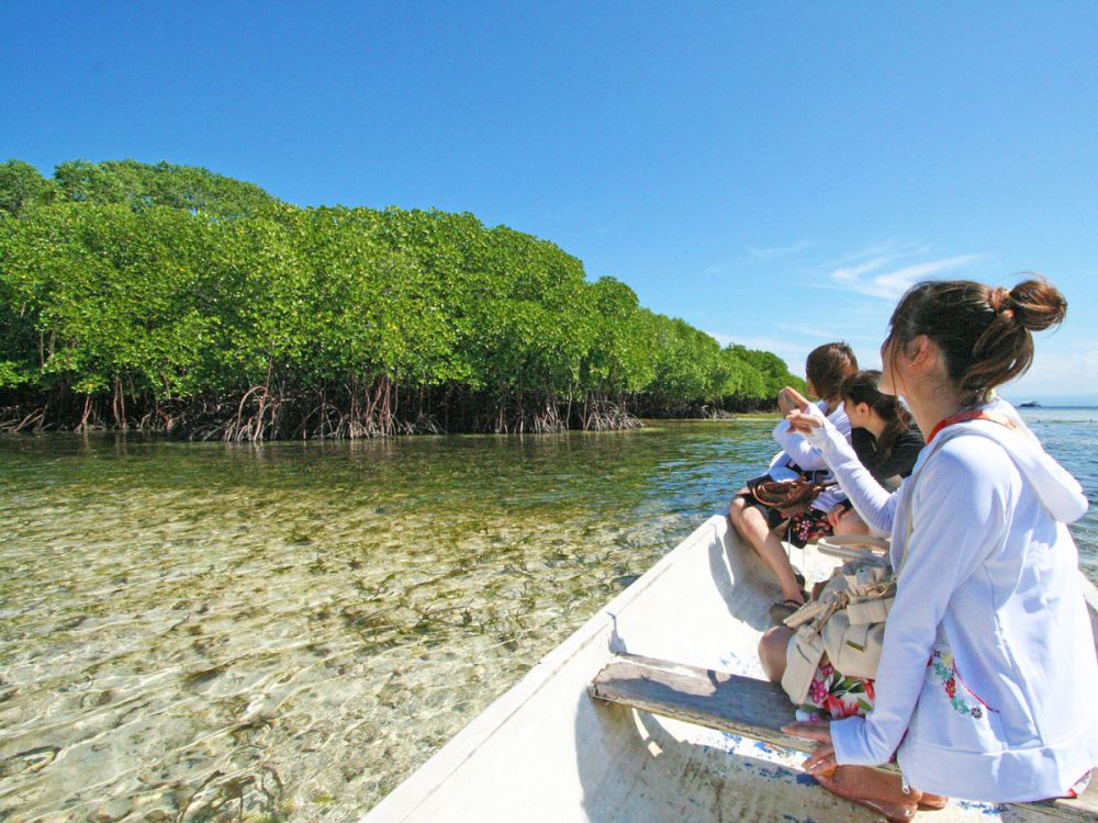レンボンガン島DEマングローブ＆シュノーケリング 2