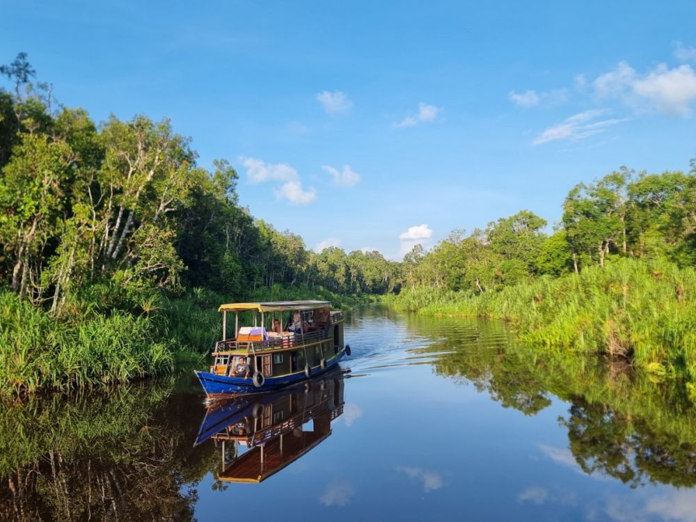 【ジャカルタ発】リバークルーズでオランウータンに会いに行こう＜タンジュンプティン国立公園＞  8