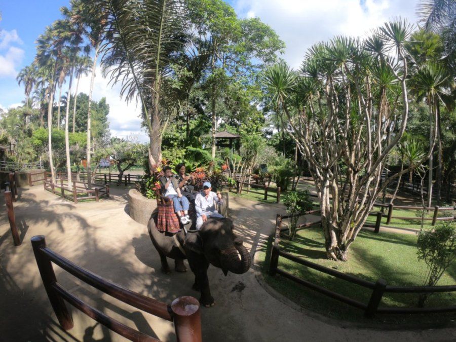 バリ島でエレファントサファリ 9