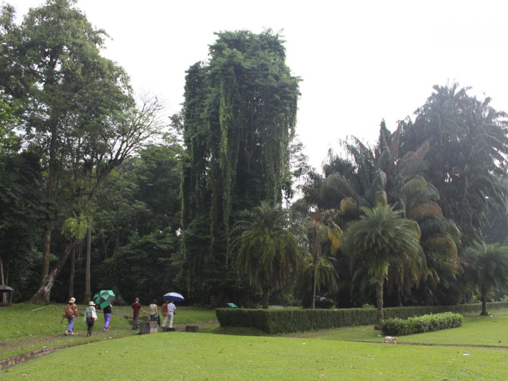 ボゴール1日観光 5