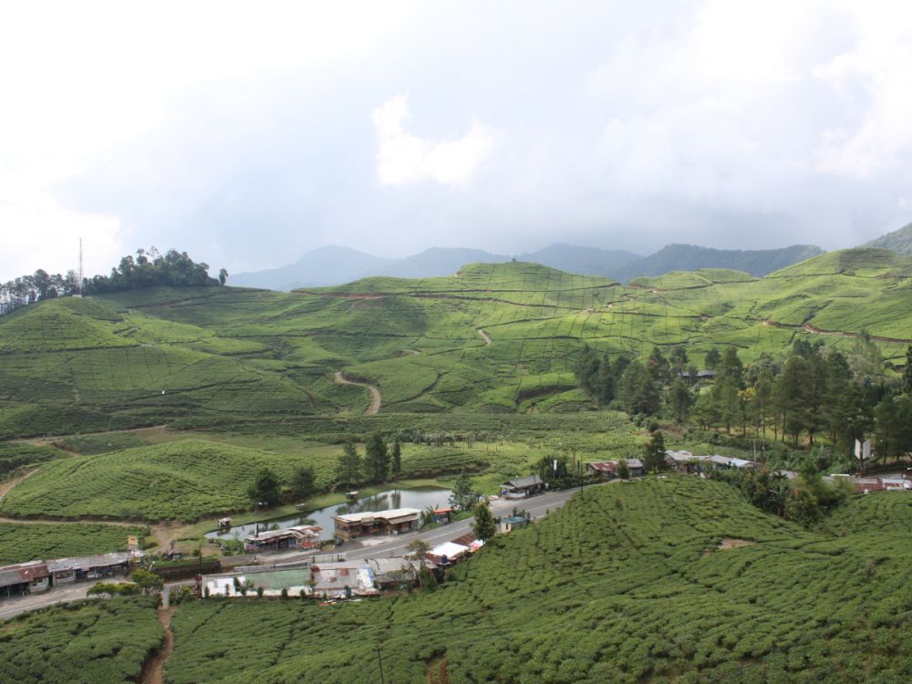 ボゴール1日観光 8