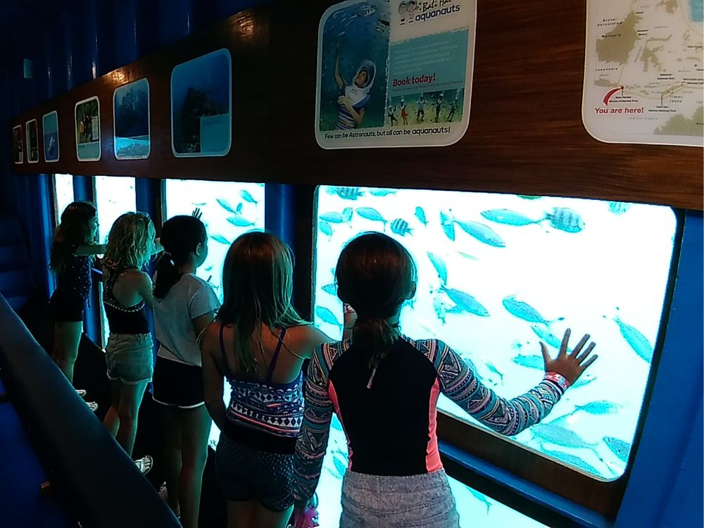 バリハイ　リーフクルーズ 7