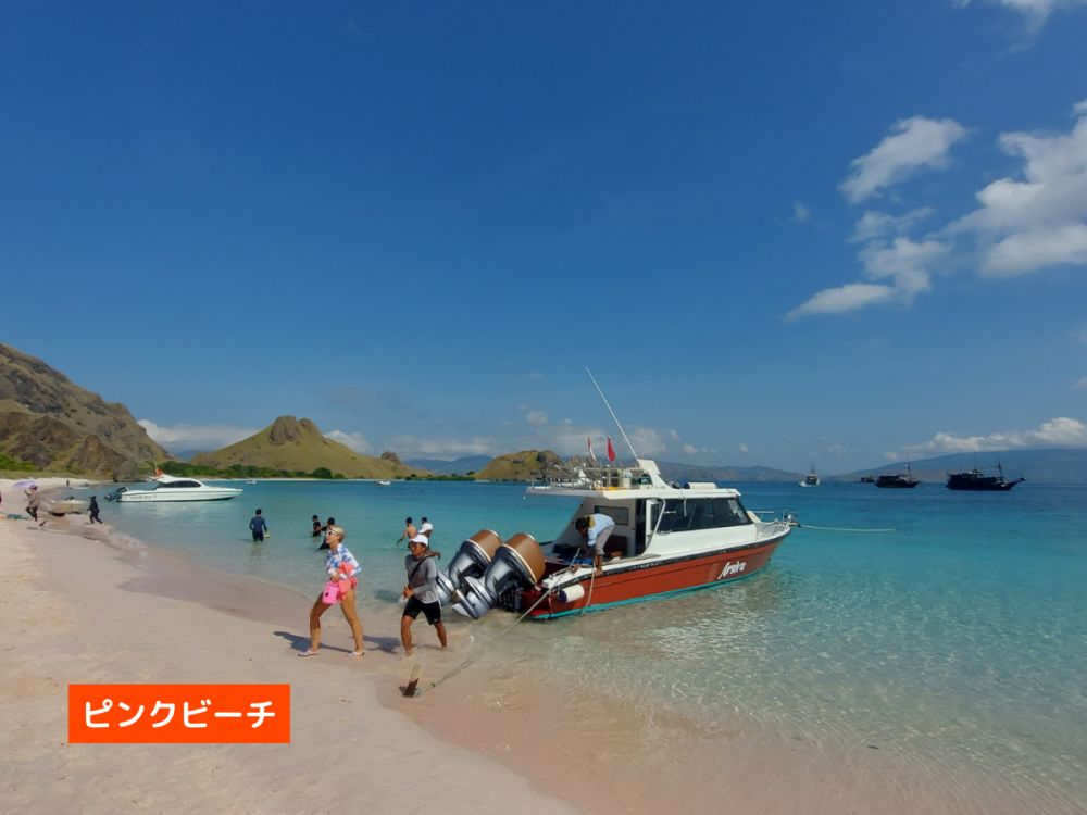 【混載ツアー】日本語ガイド付き ラブアンバジョ発日帰り コモドツアー 6