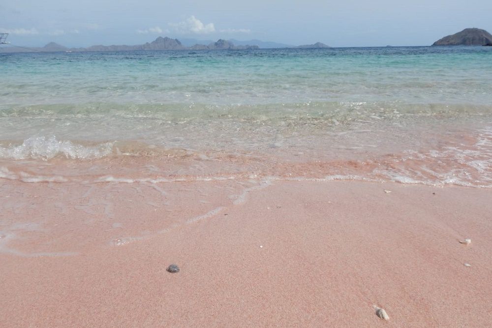 【ジャカルタ発】世界自然遺産!コモド島・コモドドラゴン&ピンクビーチ 2泊3日 5