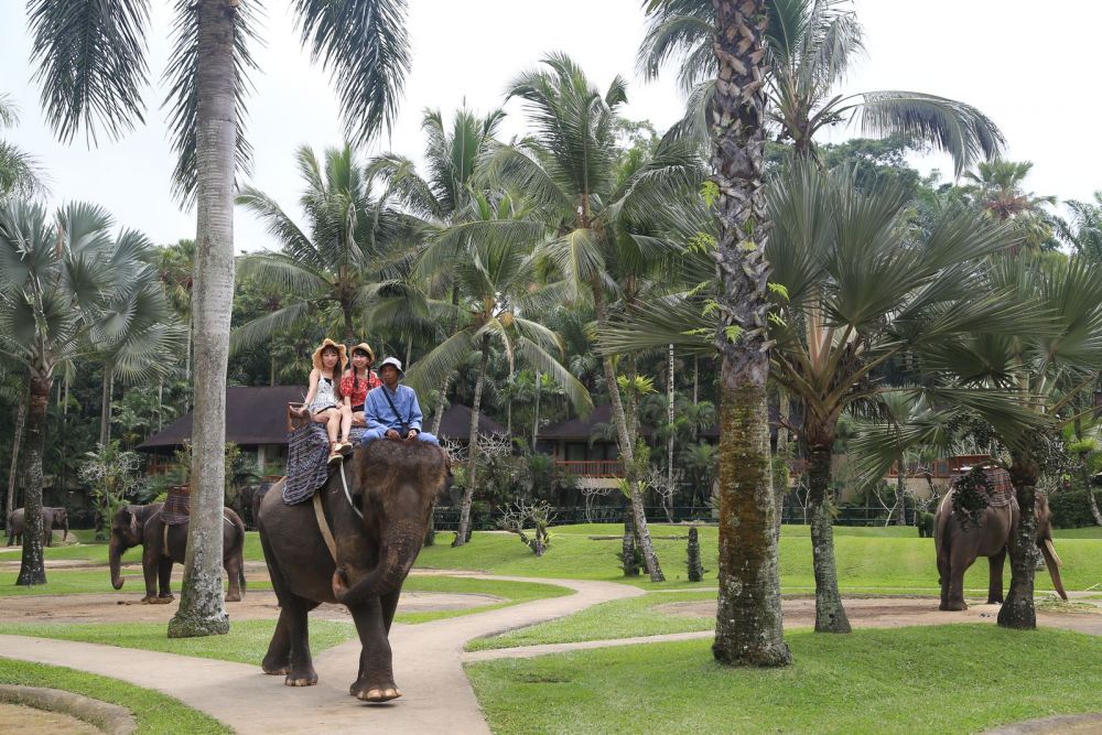 サイクリング＆エレファントサファリ 7