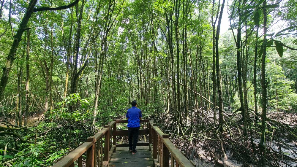 【バリクパパン発】マングローブと水上村観光ツアー 1